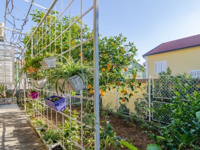 Apartment Two bedroom apartment with terrace Orebić, Pelješac A-24372-a - Outdoor photo 5