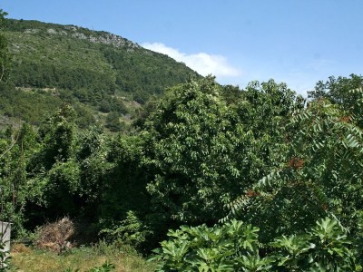 Apartment Two bedroom apartment with balcony Žuljana, Pelješac A-4574-e - Outdoor photo 25