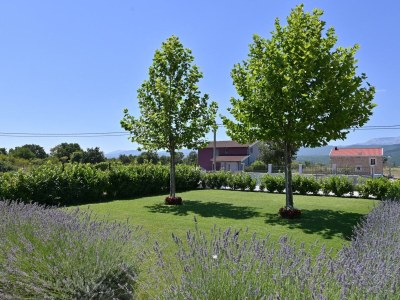 Holiday house Villa Maja w/pool, sauna & whirlpool - Environment photo 47