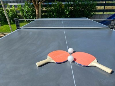 Holiday house Villa Maja w/pool, sauna & whirlpool - Environment photo 48