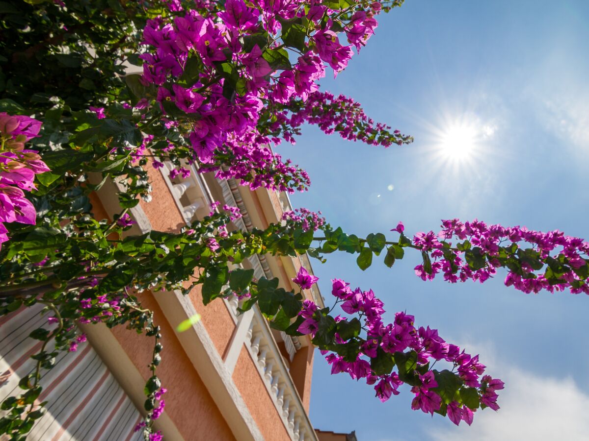 Apartment One bedroom apartment with balcony Barbat, Rab A-20080-d - Outdoor photo 5