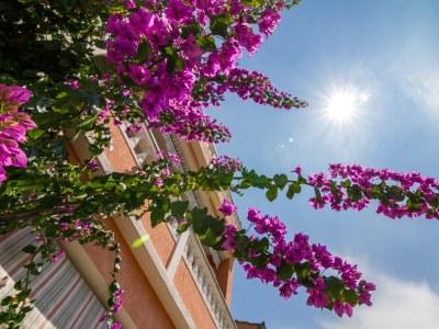 Apartment One bedroom apartment with balcony Barbat, Rab A-20080-d - Outdoor photo 5