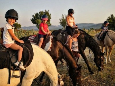 Villa Villa Matt - Environment photo 51