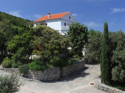 Apartment Two bedroom apartment with terrace Cove Zarace (Gdinj), Hvar A-4597-b - Outdoor photo 3