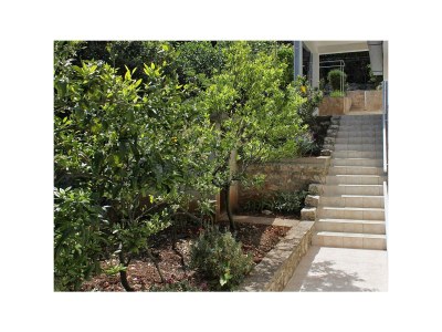 Apartment Two bedroom apartment with terrace Cove Zarace (Gdinj), Hvar A-4597-b - Outdoor photo 14