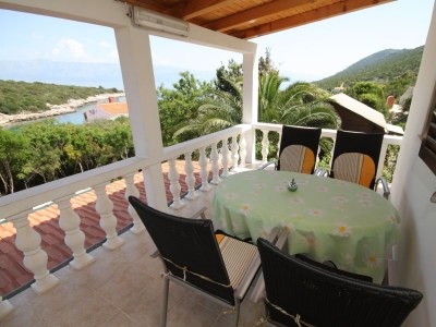 Apartment Two bedroom apartment with terrace and sea view Cove Zarace (Gdinj), Hvar A-4597-d in Gdinj - Apartment