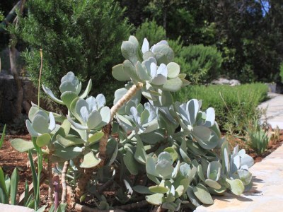 Apartment Two bedroom apartment with terrace and sea view Cove Zarace (Gdinj), Hvar A-4597-d - Outdoor photo 18