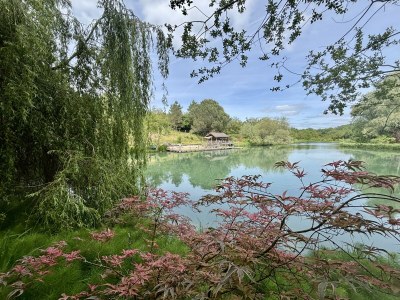 Holiday house Le séchoir et sa piscine prés de Sarlat - Outdoor photo 6