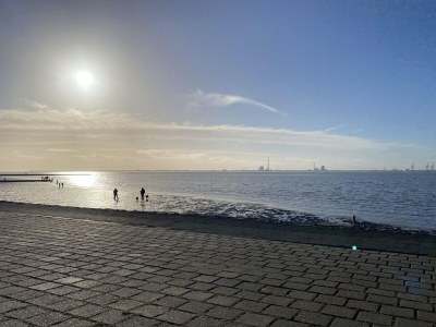 Holiday house Ferienwohnung mit Sauna in Tossens - Environment photo 23