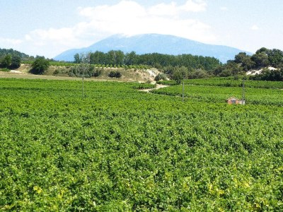 Apartment Haus-Nr: PRV01331-P - Environment photo 18