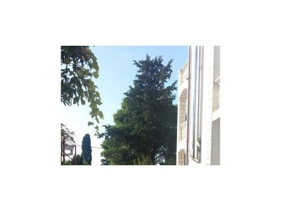 Apartment One bedroom apartment with balcony and sea view Okrug Gornji, Čiovo A-17032-c - Outdoor photo 6