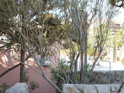 Apartment Two bedroom apartment with terrace and sea view Pag A-6467-a - Outdoor photo 11