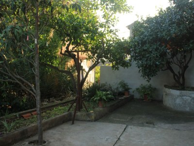 Apartment One bedroom apartment with balcony Vis A-8435-a - Outdoor photo 6