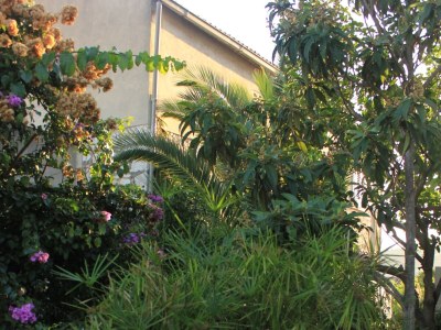 Apartment One bedroom apartment with balcony Vis A-8435-a - Outdoor photo 8