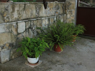 Apartment One bedroom apartment with balcony Vis A-8435-a - Outdoor photo 9