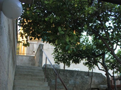 Apartment One bedroom apartment with balcony Vis A-8435-a - Outdoor photo 10