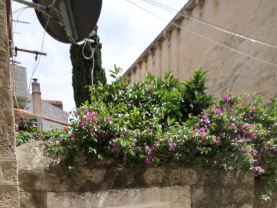 Apartment Studio flat with air-conditioning Cavtat, Dubrovnik AS-8966-a - Outdoor photo 3