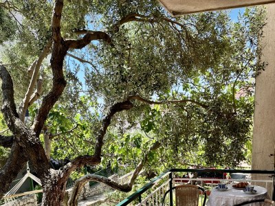 Apartment Two bedroom apartment with terrace Makarska A-18028-a - Outdoor photo 36