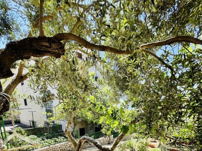 Apartment Two bedroom apartment with terrace Makarska A-18028-a - Outdoor photo 38