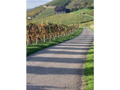 Holiday apartment Panorama-Suite - Environment photo 39