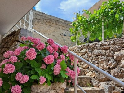 Apartment One bedroom apartment near beach Igrane, Makarska A-21577-a - Outdoor photo 3