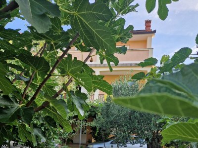 Apartment Three bedroom apartment with balcony Lopar, Rab A-24754-b - Outdoor photo 6