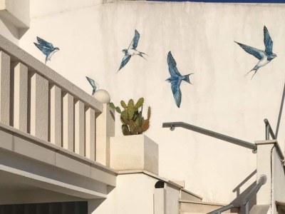 Apartment One bedroom apartment with terrace and sea view Hvar A-24926-b - Outdoor photo 11