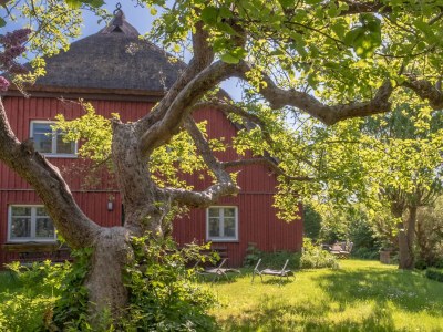 Holiday apartment 3 (Unterm Dach) im Haus Meuder in Zingst - Holiday apartment