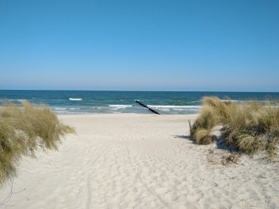 Holiday apartment 3 (Unterm Dach) im Haus Meuder - Environment photo 14