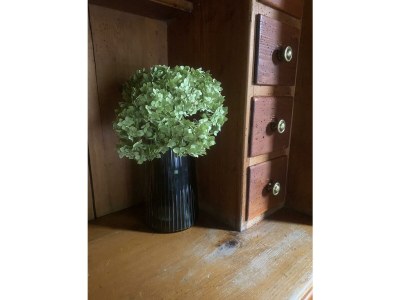 Apartment Haus Renard - Features photo 17