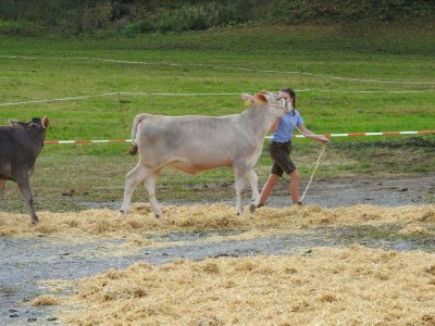 Apartment Apartment "EG"/2 Schlafräume/2 Dusche, W - Outdoor photo 22