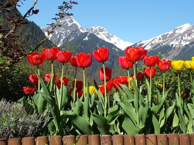 Apartment Appartement Panoramablick - Outdoor photo 2
