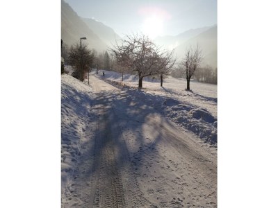 Apartment Apartment/2 Schlafräume/2 Dusche, WC - Outdoor photo 40