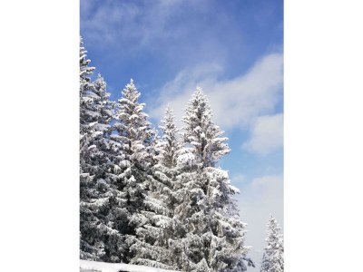 Apartment Apartment/2 Schlafräume/2 Dusche, WC - Outdoor photo 51