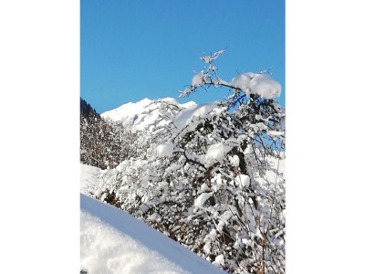 Apartment Apartment/2 Schlafräume/2 Dusche, WC - Outdoor photo 55