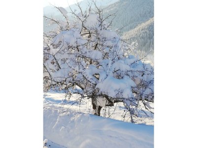 Apartment Apartment/2 Schlafräume/2 Dusche, WC - Outdoor photo 58