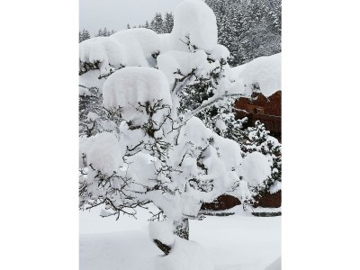 Apartment Apartment/2 Schlafräume/2 Dusche, WC - Outdoor photo 60