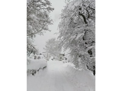 Apartment Apartment/2 Schlafräume/2 Dusche, WC - Outdoor photo 61