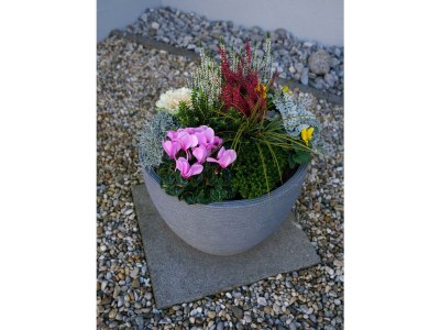 Apartment Haus Gallys - Features photo 36