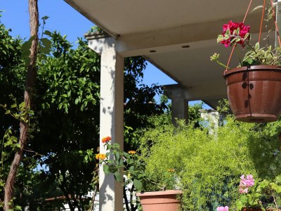 Apartment Two bedroom apartment with terrace Orebić, Pelješac A-264-d - Outdoor photo 5