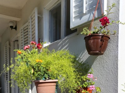 Apartment Two bedroom apartment with terrace Orebić, Pelješac A-264-d - Outdoor photo 8