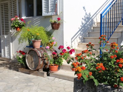 Apartment Two bedroom apartment with terrace Orebić, Pelješac A-264-d - Outdoor photo 20