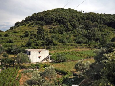 Apartment Studio flat with terrace Supetarska Draga - Donja, Rab AS-2022-a - Outdoor photo 23