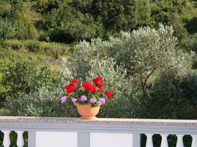 Apartment Studio flat with balcony and sea view Supetarska Draga - Donja, Rab AS-2022-b - Outdoor photo 11