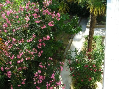 Apartment One bedroom apartment with terrace and sea view Dramalj, Crikvenica A-2397-c - Outdoor photo 10