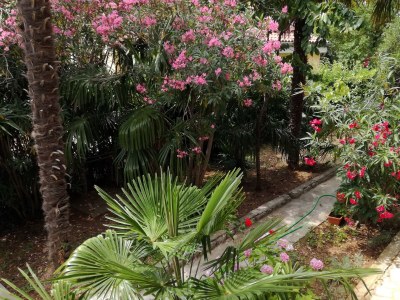 Apartment One bedroom apartment with terrace and sea view Dramalj, Crikvenica A-2397-c - Outdoor photo 12