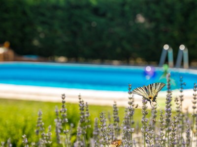 Holiday house Two bedroom house with terrace Cerion, Central Istria - Središnja Istra K-16332 - Outdoor photo 10