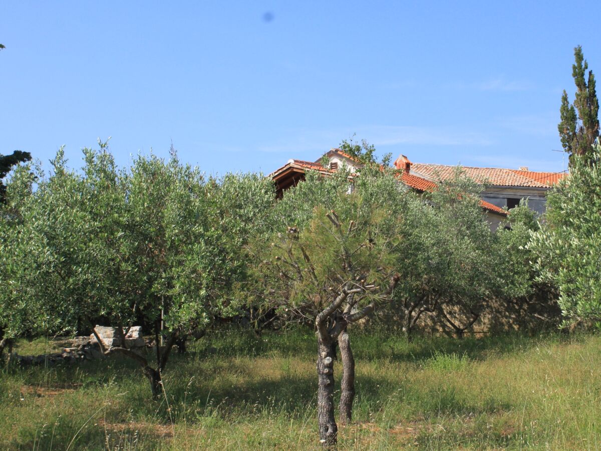 Holiday house Three bedroom house with terrace Stivan, Cres K-7995 - Outdoor photo 2