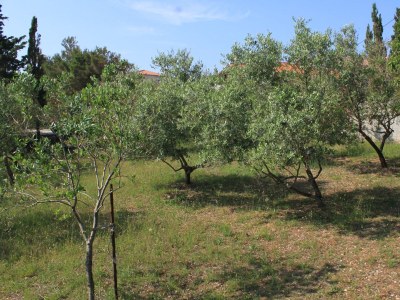 Holiday house Three bedroom house with terrace Stivan, Cres K-7995 - Outdoor photo 6