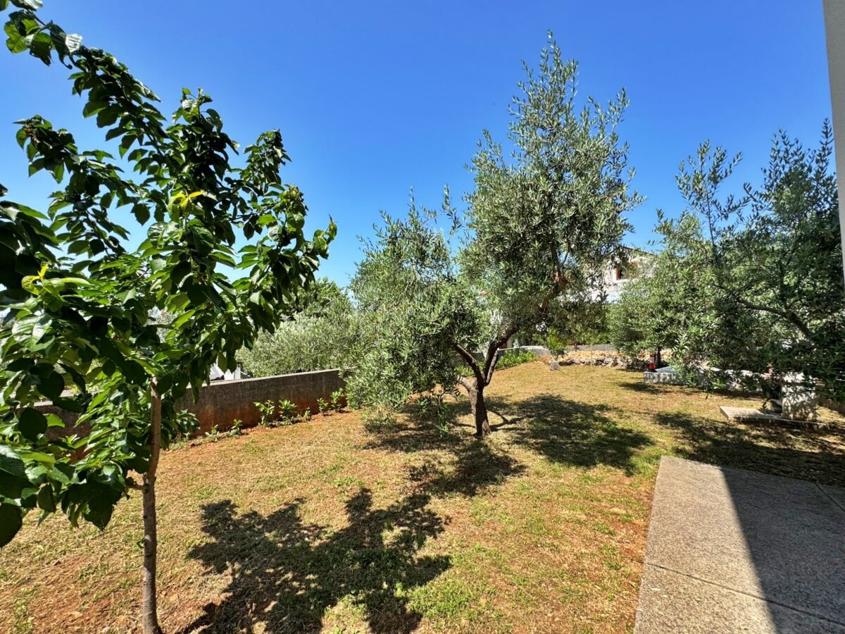 Apartment One bedroom apartment with terrace and sea view Šilo, Krk A-18692-a - Outdoor photo 5